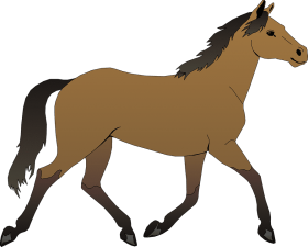 Download Cavalo Png Free Png Images Toppng