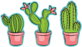 Download Clipart Frames Illustrations Hd Cartoon Cactus And Succulents Png Free Png Images Toppng