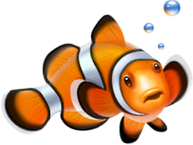 Download Clown Fish Ico Png Free Png Images Toppng