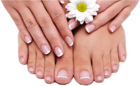 Download Cuidado De Pies Y Manos Manicure Pedicure Png Free Png Images Toppng