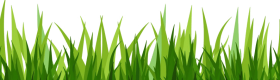 Download dibujo hierba png - grass pasto vector png - Free PNG Images ...