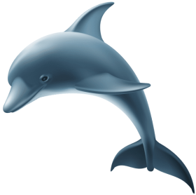 Download dolphin png - Free PNG Images | TOPpng