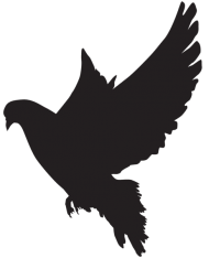 Download dove silhouette png - Free PNG Images | TOPpng