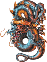 Download dragon sketchbook - google search - dragon tattoo design color ...