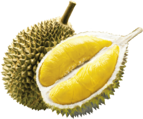 Download Durian Fruit Png Durian Potong Ice Cream Png Free Png Images Toppng