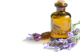 Download Essential Oil Essential Oils Private Packagi Png Free Png Images Toppng