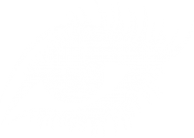 Download Eyelashes Eyelash Png Free Png Images Toppng