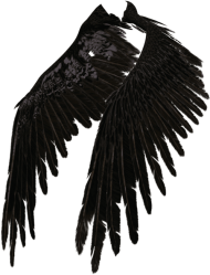 Fallen Angel Wings PNG