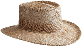 Roblox Farmer Hat