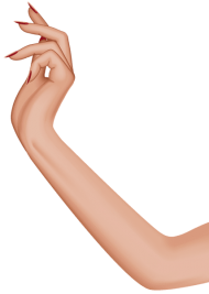 Download Female Hand Png Free Png Images Toppng