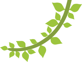 Featured image of post Safari Molde Folha Png