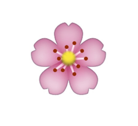 Download Flower Emoji Transparent Png Free Png Images Toppng