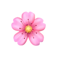 Download Flower Emoji Transparent Png Free Png Images Toppng