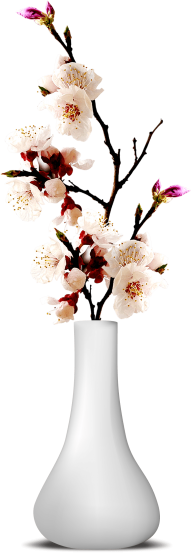 Download Flower Vase Png Transparent Image Vase And Flower Png Free Png Images Toppng