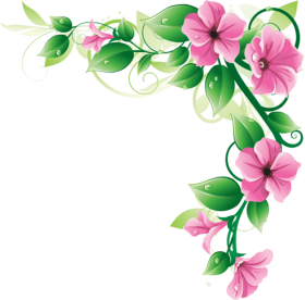 Download Free Png Flowers Borders Png Images Transparent Flower Corner Border Png Free Png Images Toppng