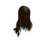 Download free roblox hair brown png - Free PNG Images | TOPpng