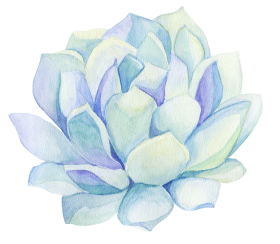 Download Freetoedit Ftestickers Watercolor Cactus Flower Decorat Succulent Plant Png Free Png Images Toppng