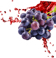 Download Fruit Splash Png Download Grape Juice Splash Png Free Png Images Toppng