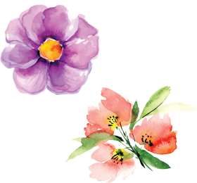 Download Hand Painted Flowers Hd Beautiful Png Petals Illustration Watercolor Painti Png Free Png Images Toppng