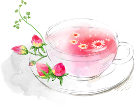 Download hibiscus tea png - plano de fundo cha flores png - Free PNG ...