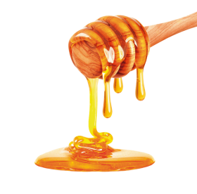 Download Honey Png Png Free Png Images Toppng