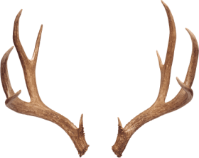 Download horns - boho deer hor png - Free PNG Images | TOPpng