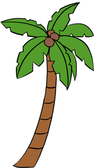 Download How To Draw Palm Tree Palmetto Tree Easy To Draw Png Free Png Images Toppng