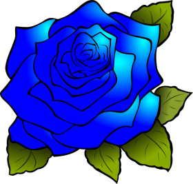 Download How To Set Use Blue Rose Clipart Png Free Png Images Toppng
