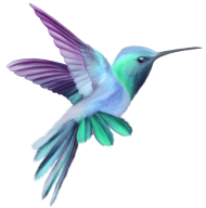 Download hummingbird transparent png - Free PNG Images | TOPpng