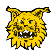 Download ilves tampere vector logo png - Free PNG Images | TOPpng