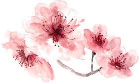 Download Ink Water Color Flower Png Transparent Watercolor Flower Png Free Png Images Toppng