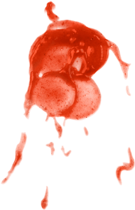 Download ketchup stain png - ketchu png - Free PNG Images | TOPpng