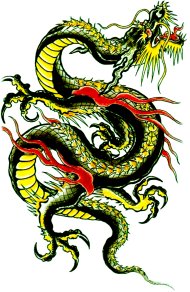 Download kung fu dragon logo png - Free PNG Images | TOPpng