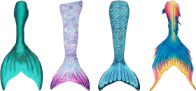 Download Mermaid Tail Different Kinds Of Mermaid Tails Png Free Png Images Toppng