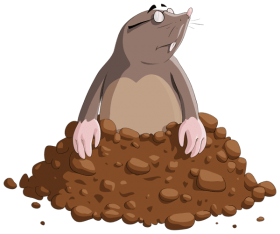 Download mole cartoon png - Free PNG Images | TOPpng