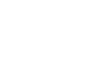 Download Download Original Png Clip Art File White Angel Wings Svg Images Png Free Png Images Toppng