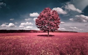 Download 970+ Background Pink Fantasy HD Gratis
