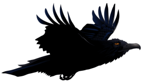 Download Raven Png Vectorpicture Png Free Png Images Toppng