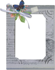 Download rey transparent png frame with butterfly - frame free