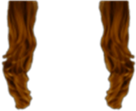 Download Roblox Hair Extensions Png Hair T Shirt Roblox Png Free Png Images Toppng