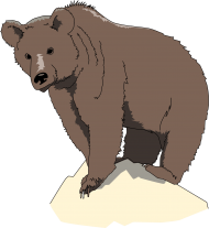 Download rock clipart png - brown bear ico png - Free PNG Images | TOPpng