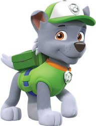 Download rocky - rocky paw patrol personajes png - Free PNG Images | TOPpng