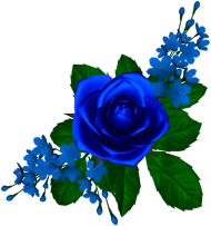 Download Rosa Azul Tube Flores Rosa Azul Png Free Png Images Toppng