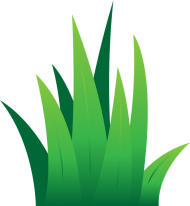 Download rumput vektor png - Free PNG Images | TOPpng