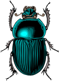 Download Scarab Beetle Tattoo Egyptian Bu Png Free Png Images Toppng
