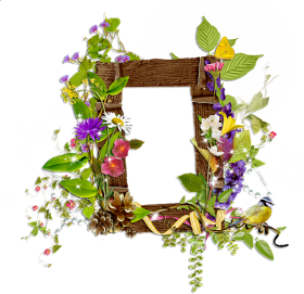 Download Shining Transparent Frame With Wild Flowers And Moon Png Free Png Images Toppng