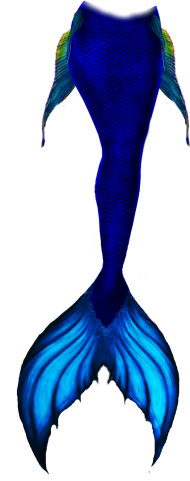 Download Sketch Mermaid Tail Draw Png Free Png Images Toppng - how to get hela's crown in roblox