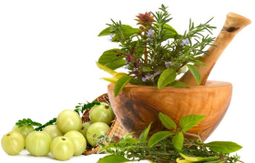 download slide background ayurvedic herbal png free png images toppng ayurvedic herbal png