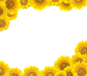 Free Free 139 Half Sunflower Svg Png SVG PNG EPS DXF File