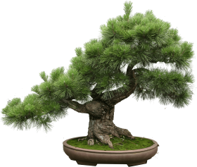 Download the art of creating a bonsai tree - itil v3 small-scale